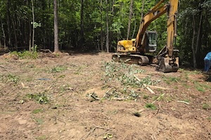 Newly cleared homesite